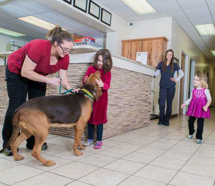 'Veterinary Clinic in West Chester