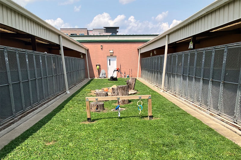 Boarding Care for Cats & Dogs - West Chester Veterinary Center